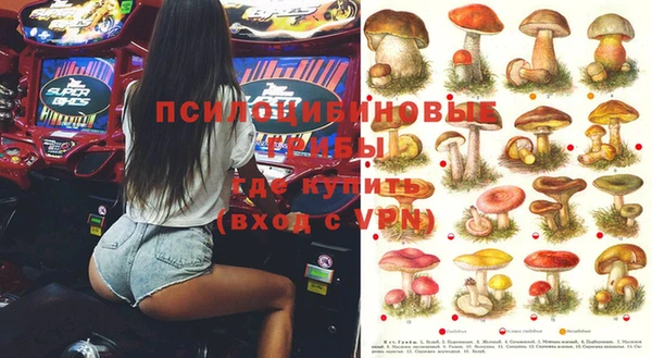 винт Гусев