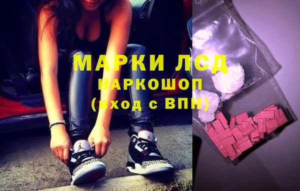 винт Гусев