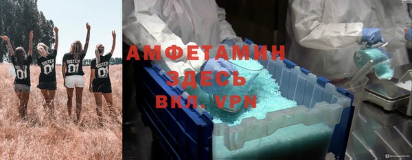 ALPHA PVP Гусь-Хрустальный