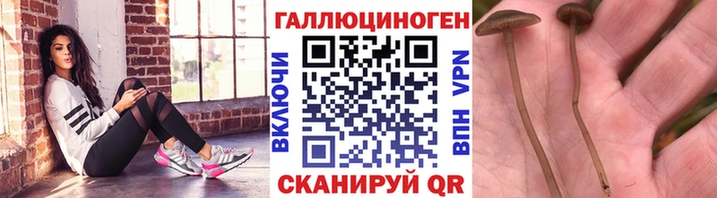 Галлюциногенные грибы MAGIC MUSHROOMS Купить где Кувшиново
